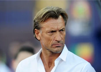 HLV Hervé Renard